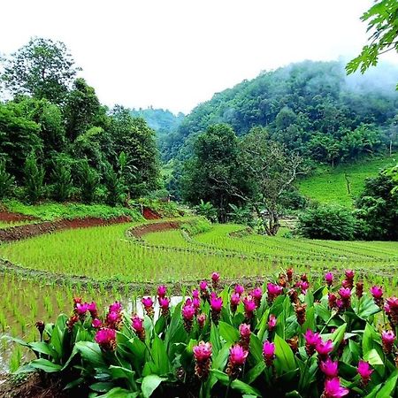Kowitfarmstay Ban Mae Pan Noi Exterior photo