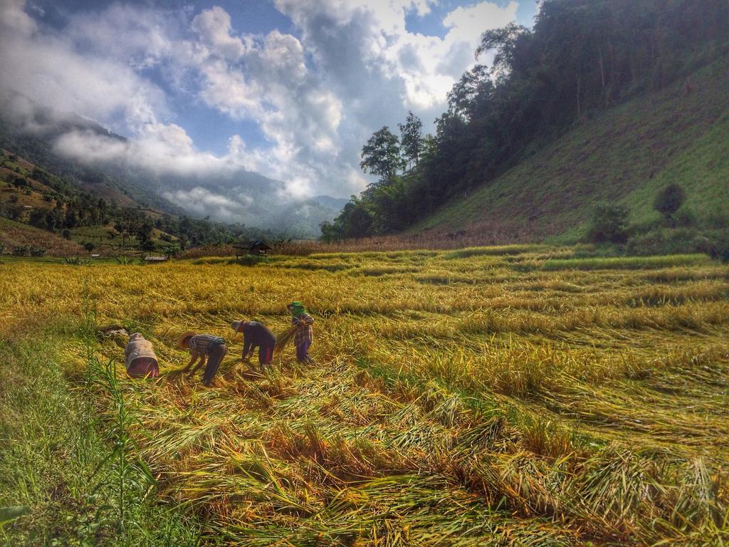 Kowitfarmstay Ban Mae Pan Noi Exterior photo