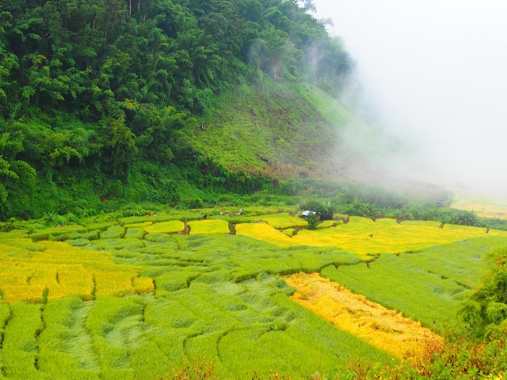 Kowitfarmstay Ban Mae Pan Noi Exterior photo