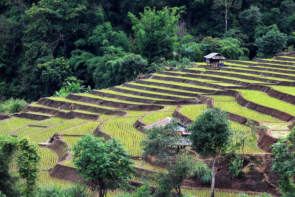 Kowitfarmstay Ban Mae Pan Noi Exterior photo